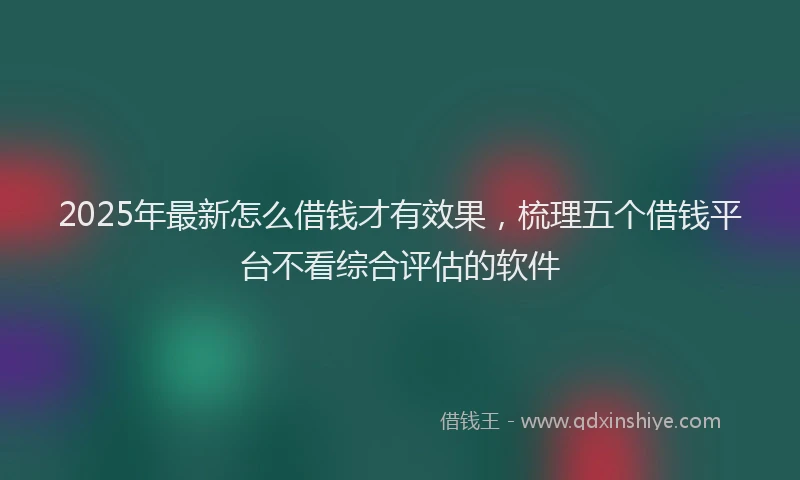 2025年最新怎么借钱才有效果，梳理五个借钱平台不看综合评估的软件