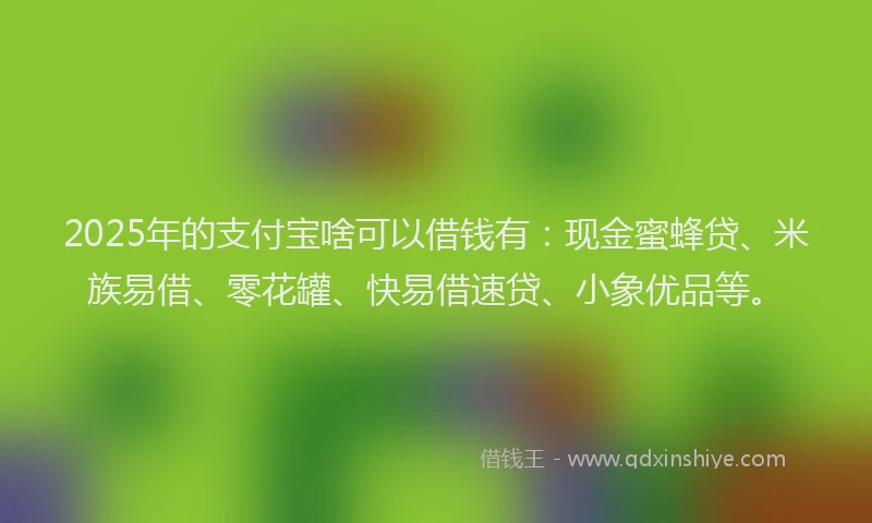 2025年的支付宝啥可以借钱有：现金蜜蜂贷、米族易借、零花罐、快易借速贷、小象优品等。