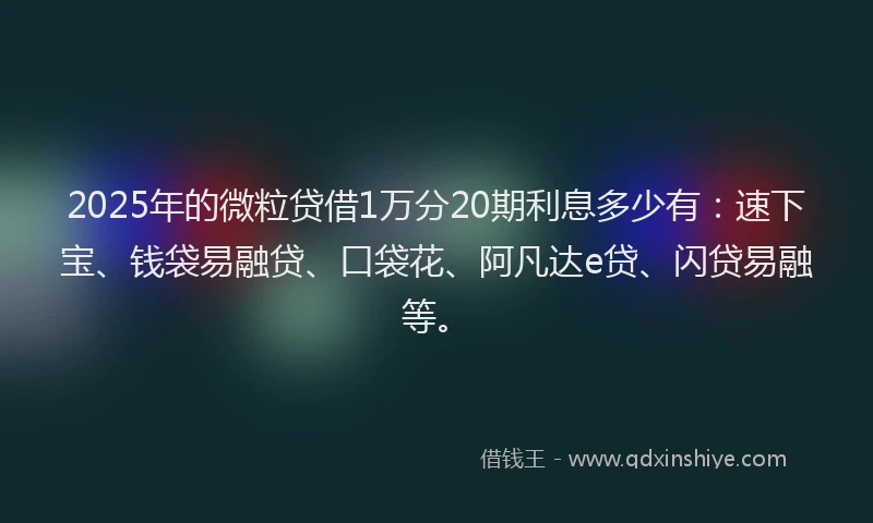 2025年的微粒贷借1万分20期利息多少有：速下宝、钱袋易融贷、口袋花、阿凡达e贷、闪贷易融等。