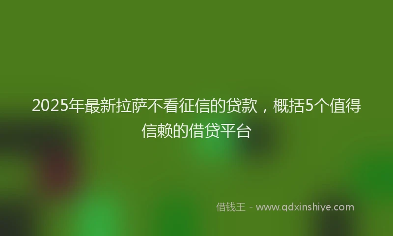 2025年最新拉萨不看征信的贷款，概括5个值得信赖的借贷平台