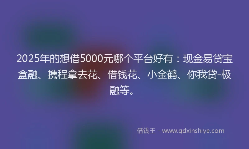2025年的想借5000元哪个平台好有：现金易贷宝盒融、携程拿去花、借钱花、小金鹤、你我贷-极融等。