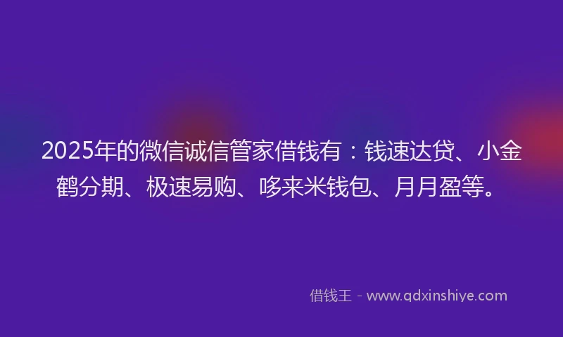 2025年的微信诚信管家借钱有：钱速达贷、小金鹤分期、极速易购、哆来米钱包、月月盈等。