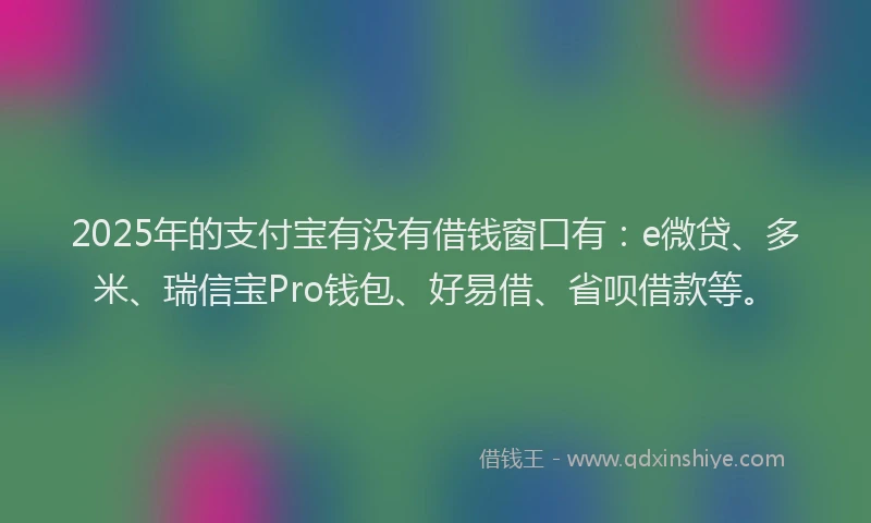 2025年的支付宝有没有借钱窗口有：e微贷、多米、瑞信宝Pro钱包、好易借、省呗借款等。