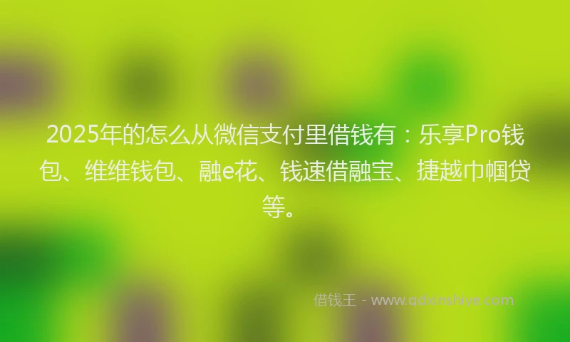2025年的怎么从微信支付里借钱有：乐享Pro钱包、维维钱包、融e花、钱速借融宝、捷越巾帼贷等。