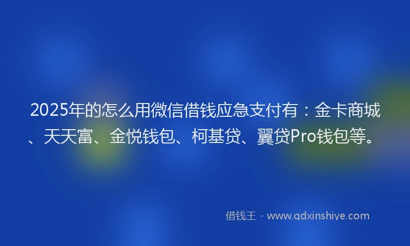 2025年的怎么用微信借钱应急支付有：金卡商城、天天富、金悦钱包、柯基贷、翼贷Pro钱包等。