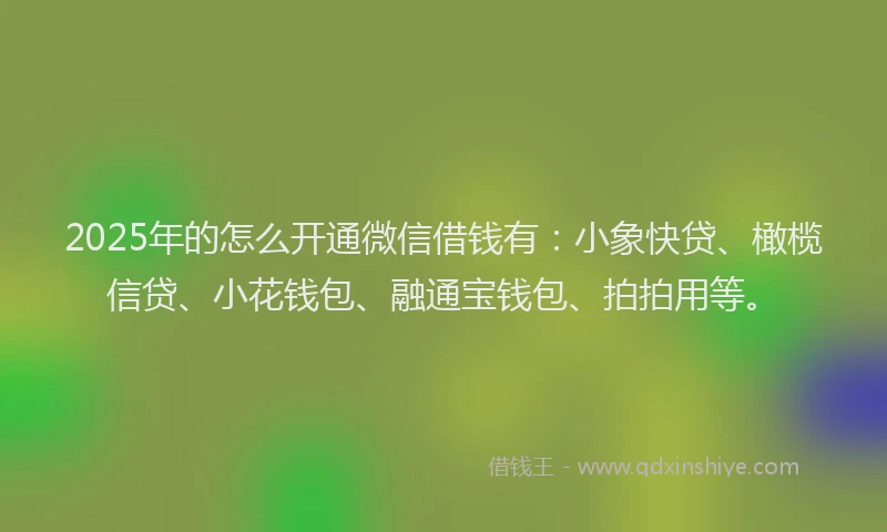 2025年的怎么开通微信借钱有：小象快贷、橄榄信贷、小花钱包、融通宝钱包、拍拍用等。