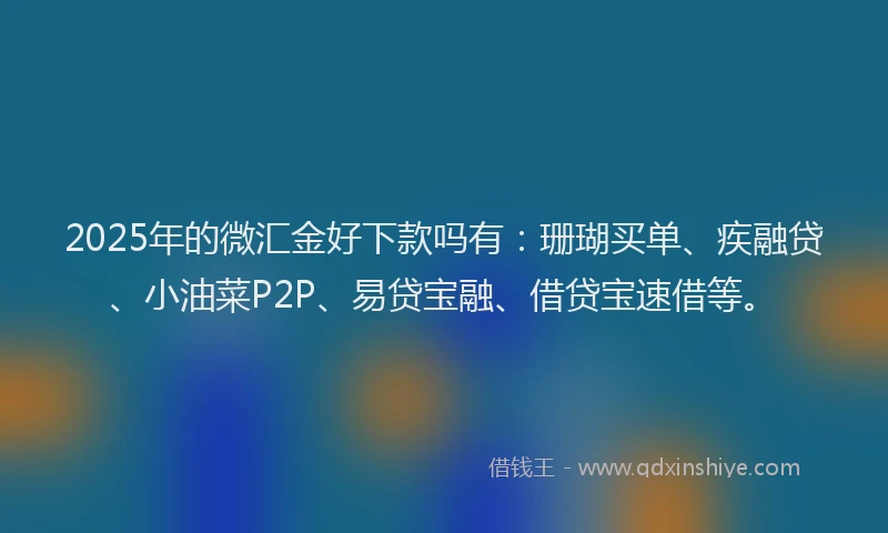 2025年的微汇金好下款吗有：珊瑚买单、疾融贷、小油菜P2P、易贷宝融、借贷宝速借等。