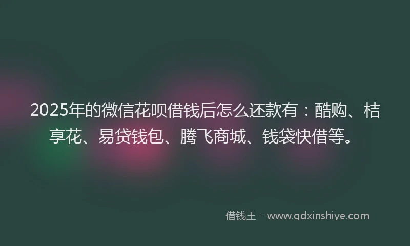 2025年的微信花呗借钱后怎么还款有：酷购、桔享花、易贷钱包、腾飞商城、钱袋快借等。