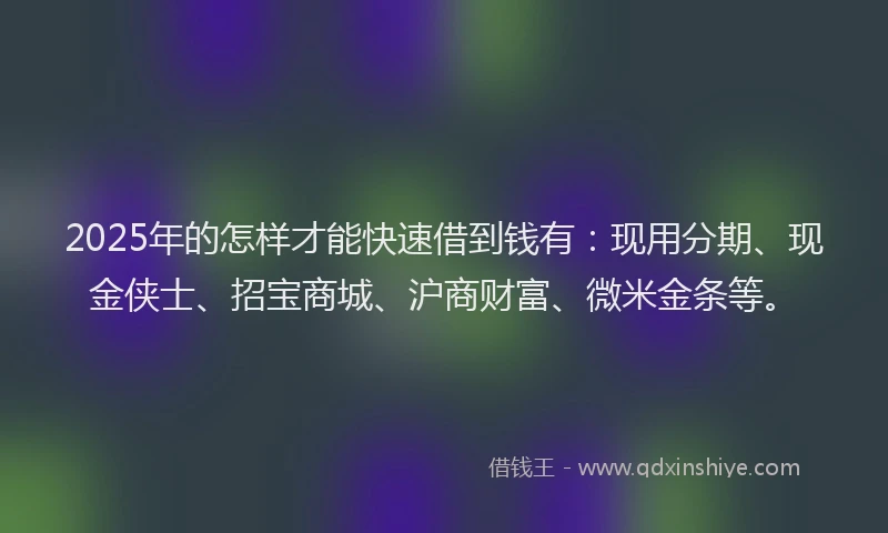 2025年的怎样才能快速借到钱有：现用分期、现金侠士、招宝商城、沪商财富、微米金条等。