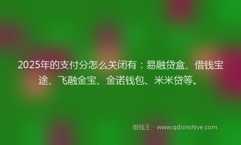 2025年的支付分怎么关闭有：易融贷盒、借钱宝途、飞融金宝、金诺钱包、米米贷等。