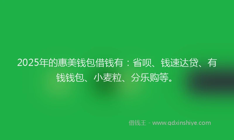 2025年的惠美钱包借钱有：省呗、钱速达贷、有钱钱包、小麦粒、分乐购等。