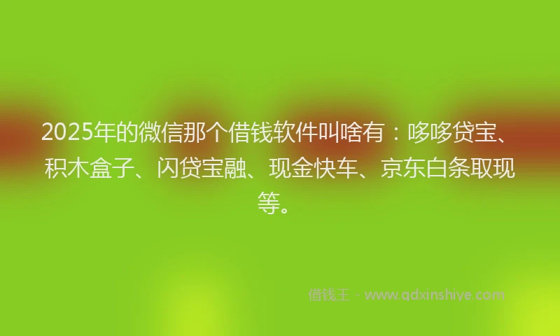 2025年的微信那个借钱软件叫啥有：哆哆贷宝、积木盒子、闪贷宝融、现金快车、京东白条取现等。