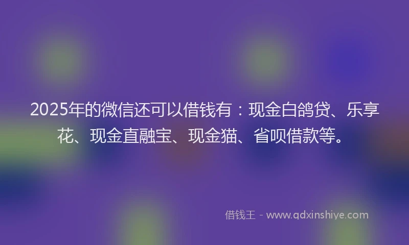 2025年的微信还可以借钱有：现金白鸽贷、乐享花、现金直融宝、现金猫、省呗借款等。