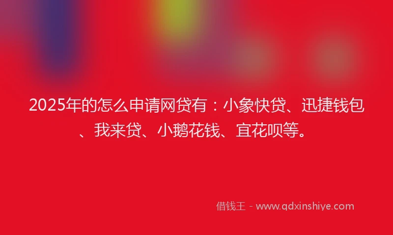 2025年的怎么申请网贷有：小象快贷、迅捷钱包、我来贷、小鹅花钱、宜花呗等。