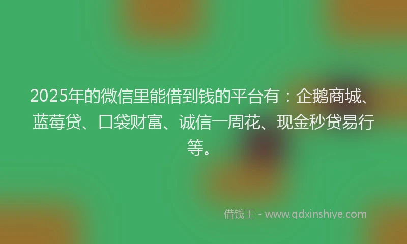 2025年的微信里能借到钱的平台有：企鹅商城、蓝莓贷、口袋财富、诚信一周花、现金秒贷易行等。