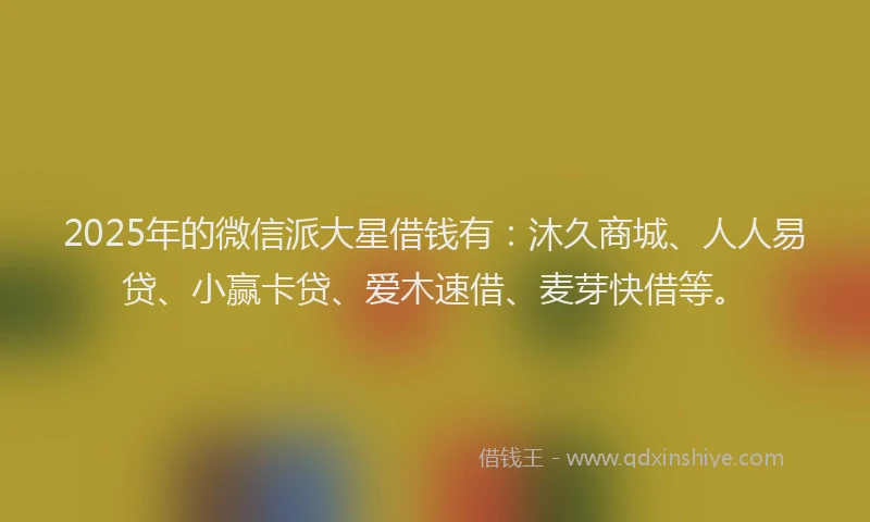 2025年的微信派大星借钱有：沐久商城、人人易贷、小赢卡贷、爱木速借、麦芽快借等。