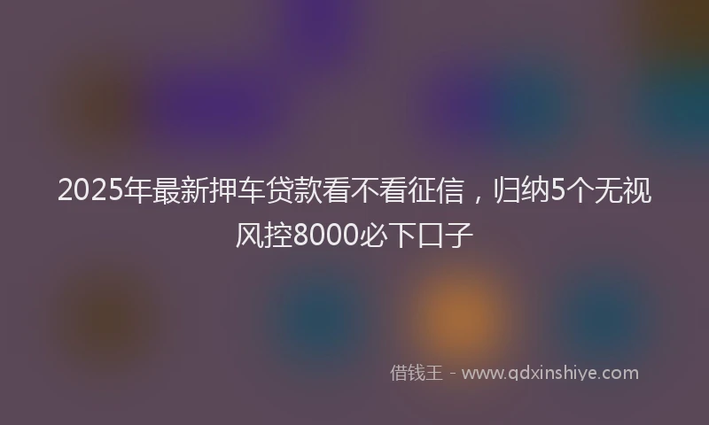 2025年最新押车贷款看不看征信，归纳5个无视风控8000必下口子