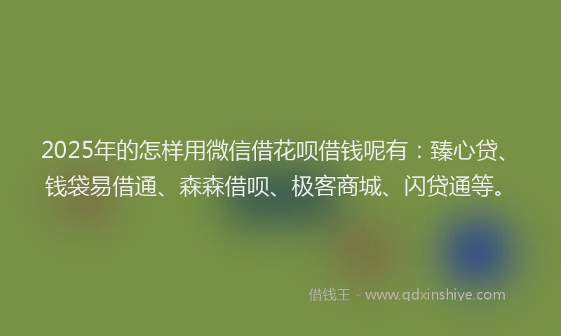 2025年的怎样用微信借花呗借钱呢有：臻心贷、钱袋易借通、森森借呗、极客商城、闪贷通等。