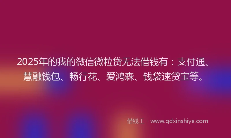 2025年的我的微信微粒贷无法借钱有：支付通、慧融钱包、畅行花、爱鸿森、钱袋速贷宝等。