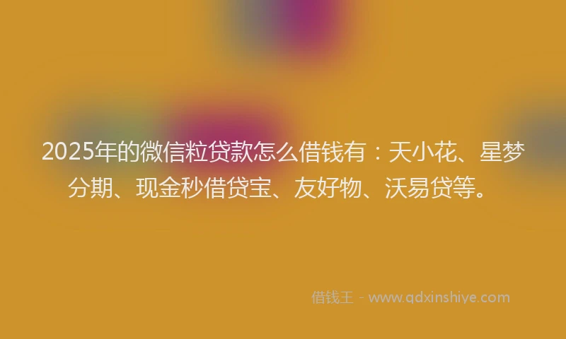 2025年的微信粒贷款怎么借钱有：天小花、星梦分期、现金秒借贷宝、友好物、沃易贷等。