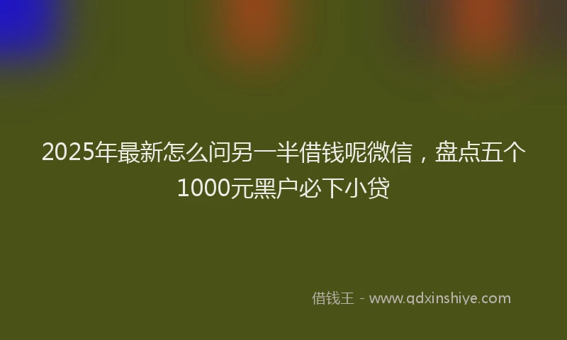 2025年最新怎么问另一半借钱呢微信，盘点五个1000元黑户必下小贷