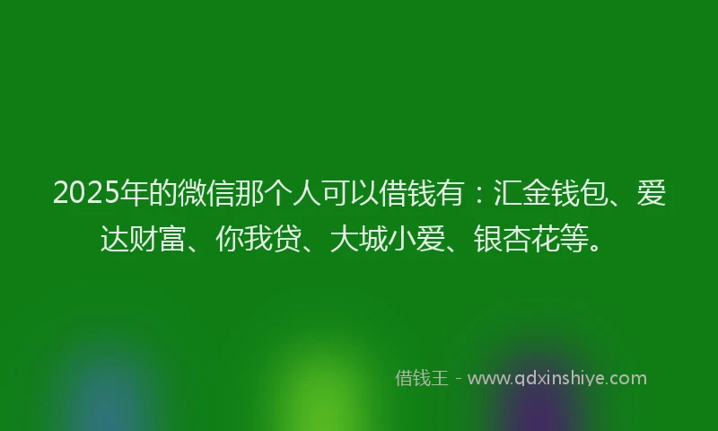 2025年的微信那个人可以借钱有：汇金钱包、爱达财富、你我贷、大城小爱、银杏花等。