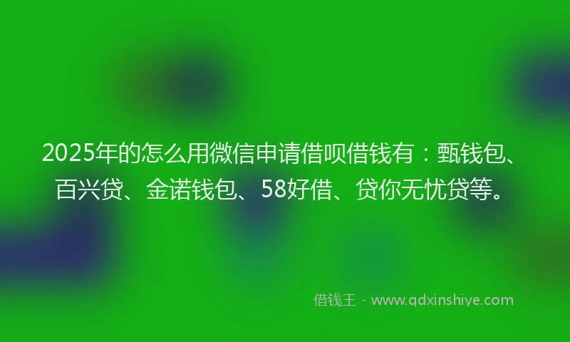2025年的怎么用微信申请借呗借钱有：甄钱包、百兴贷、金诺钱包、58好借、贷你无忧贷等。