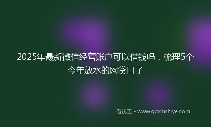 2025年最新微信经营账户可以借钱吗，梳理5个今年放水的网贷口子