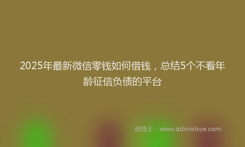 2025年最新微信零钱如何借钱，总结5个不看年龄征信负债的平台