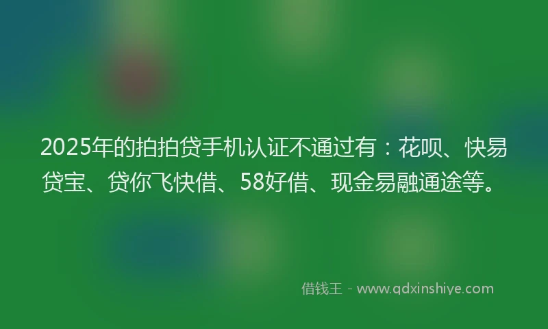 2025年的拍拍贷手机认证不通过有：花呗、快易贷宝、贷你飞快借、58好借、现金易融通途等。