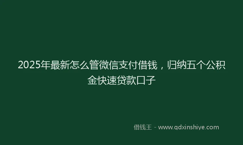 2025年最新怎么管微信支付借钱，归纳五个公积金快速贷款口子