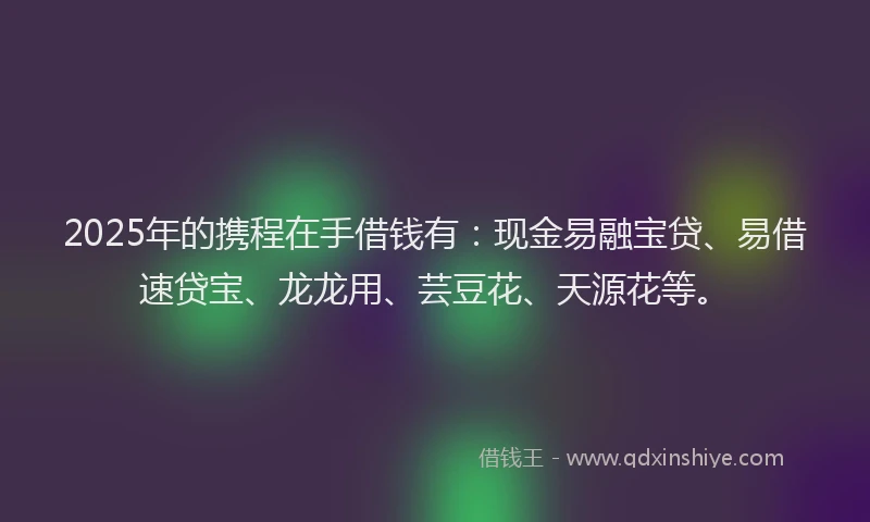 2025年的携程在手借钱有：现金易融宝贷、易借速贷宝、龙龙用、芸豆花、天源花等。