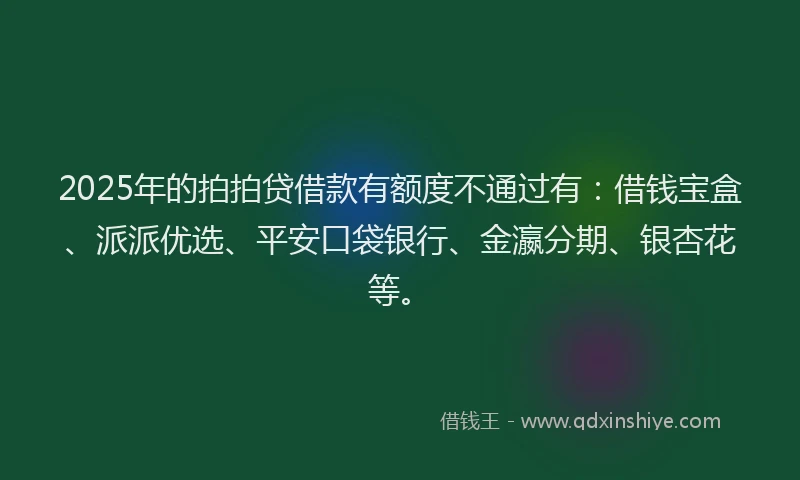 2025年的拍拍贷借款有额度不通过有：借钱宝盒、派派优选、平安口袋银行、金瀛分期、银杏花等。