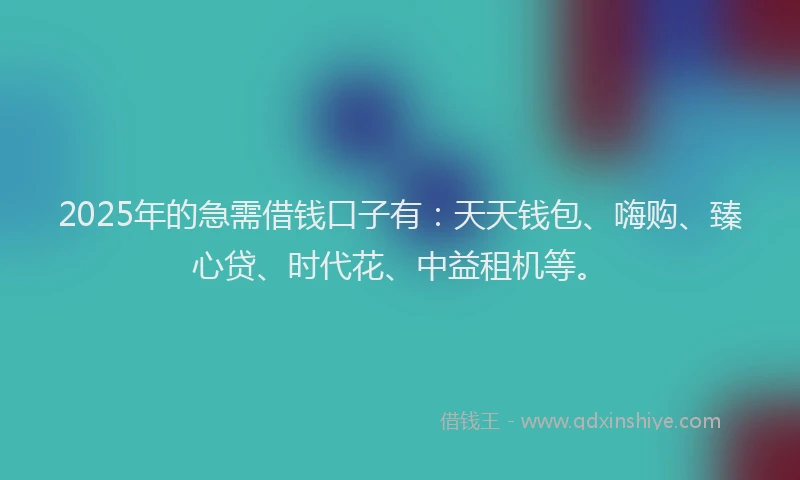 2025年的急需借钱口子有：天天钱包、嗨购、臻心贷、时代花、中益租机等。