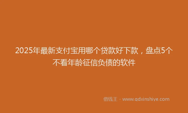 2025年最新支付宝用哪个贷款好下款，盘点5个不看年龄征信负债的软件