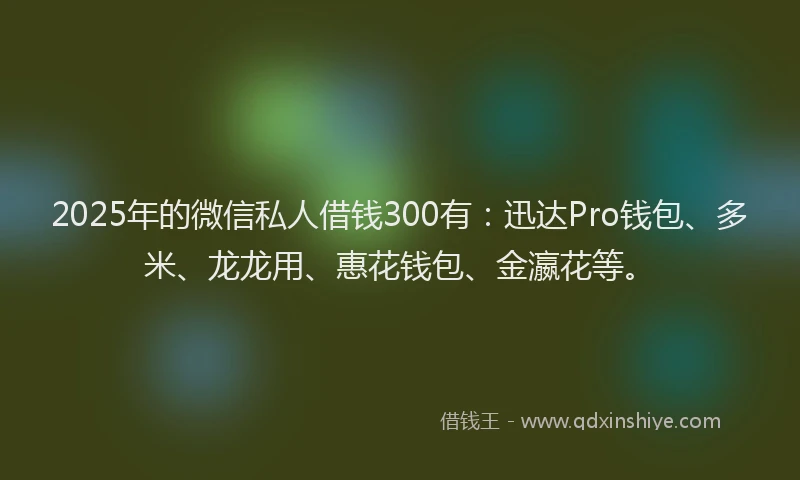 2025年的微信私人借钱300有：迅达Pro钱包、多米、龙龙用、惠花钱包、金瀛花等。