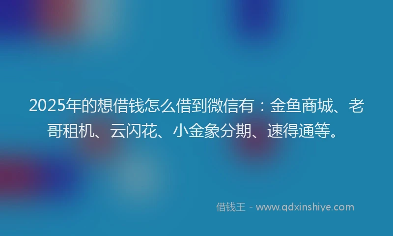 2025年的想借钱怎么借到微信有：金鱼商城、老哥租机、云闪花、小金象分期、速得通等。