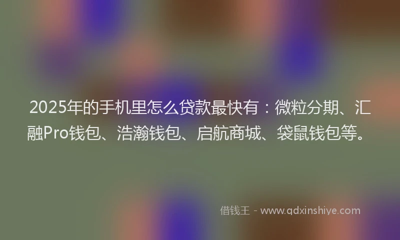 2025年的手机里怎么贷款最快有：微粒分期、汇融Pro钱包、浩瀚钱包、启航商城、袋鼠钱包等。