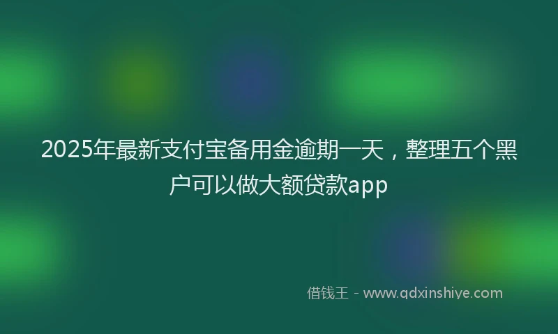 2025年最新支付宝备用金逾期一天，整理五个黑户可以做大额贷款app