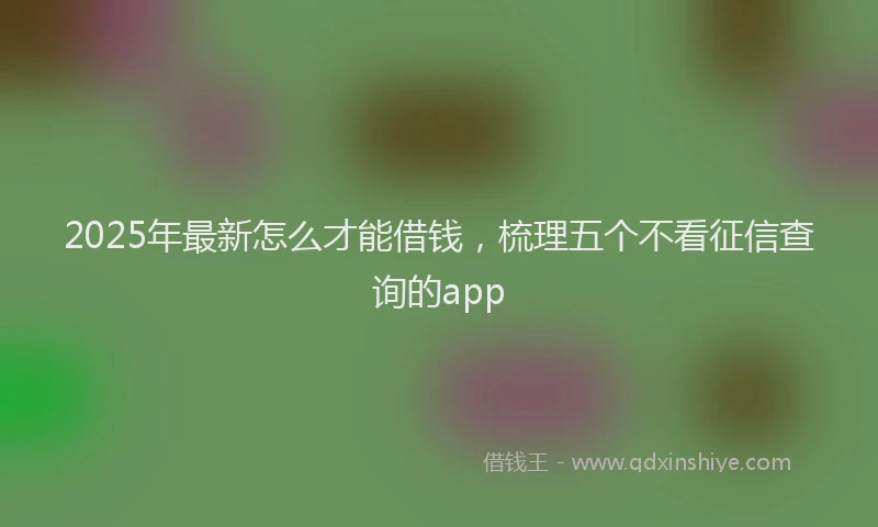2025年最新怎么才能借钱，梳理五个不看征信查询的app