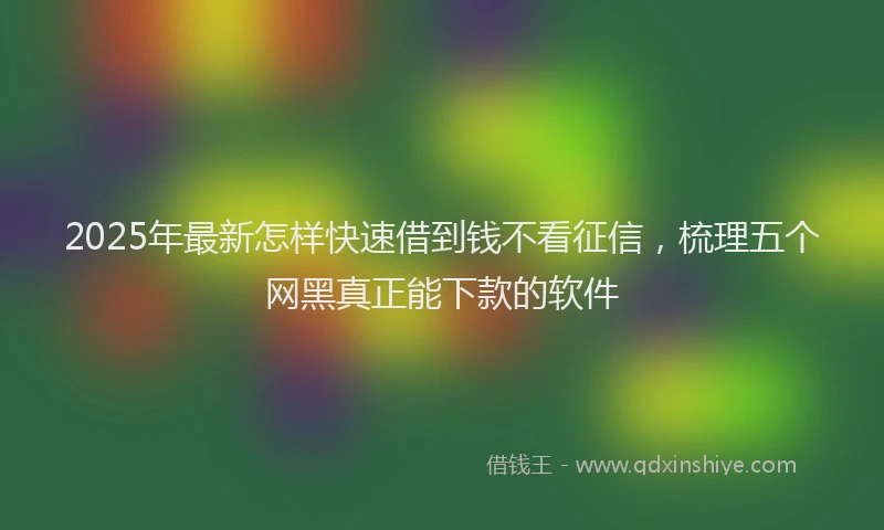 2025年最新怎样快速借到钱不看征信，梳理五个网黑真正能下款的软件