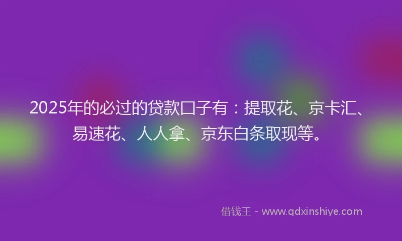 2025年的必过的贷款囗子有：提取花、京卡汇、易速花、人人拿、京东白条取现等。