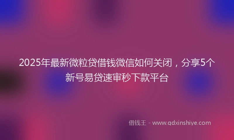 2025年最新微粒贷借钱微信如何关闭，分享5个新号易贷速审秒下款平台