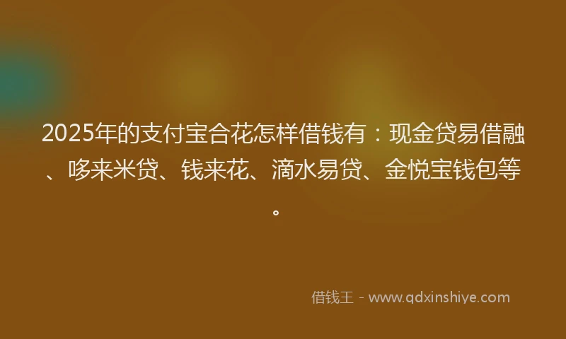 2025年的支付宝合花怎样借钱有：现金贷易借融、哆来米贷、钱来花、滴水易贷、金悦宝钱包等。
