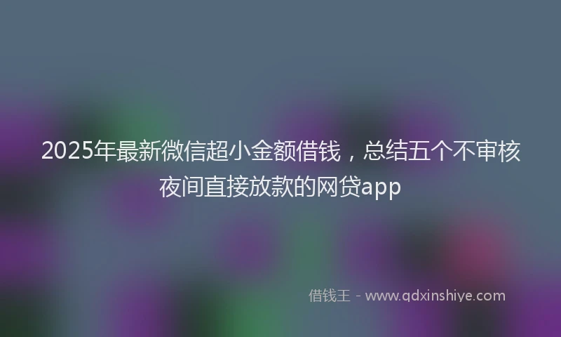 2025年最新微信超小金额借钱，总结五个不审核夜间直接放款的网贷app