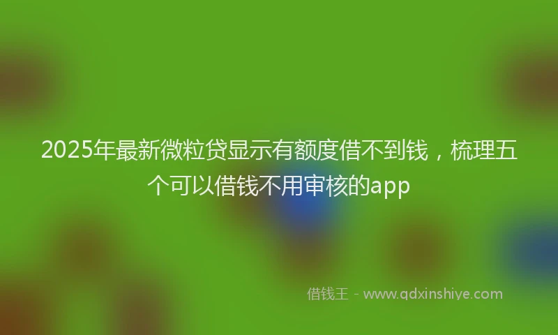 2025年最新微粒贷显示有额度借不到钱，梳理五个可以借钱不用审核的app