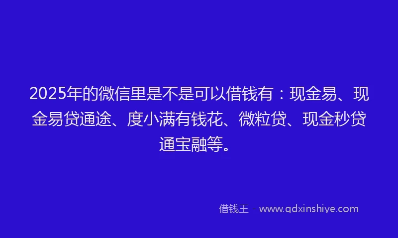 2025年的微信里是不是可以借钱有：现金易、现金易贷通途、度小满有钱花、微粒贷、现金秒贷通宝融等。