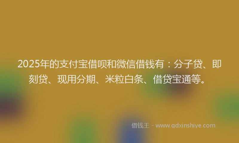 2025年的支付宝借呗和微信借钱有：分子贷、即刻贷、现用分期、米粒白条、借贷宝通等。