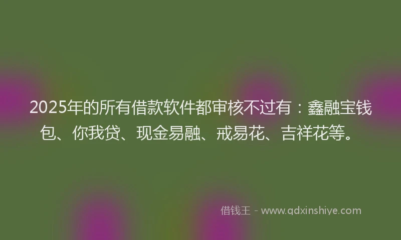 2025年的所有借款软件都审核不过有：鑫融宝钱包、你我贷、现金易融、戒易花、吉祥花等。