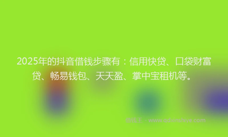 2025年的抖音借钱步骤有：信用快贷、口袋财富贷、畅易钱包、天天盈、掌中宝租机等。